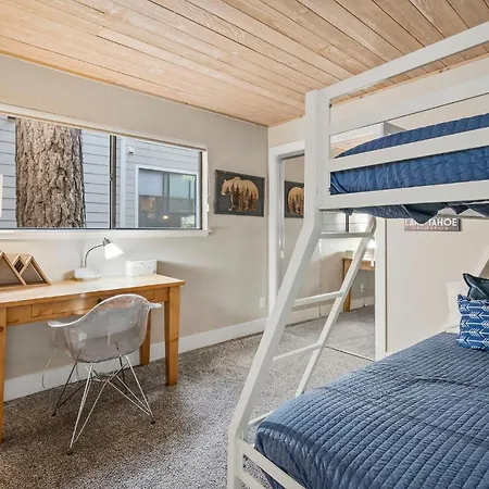 The Perfect Forest Pines Getaway